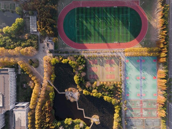 Initiation à l'escalade sur glace : Un sport d'hiver audacieux